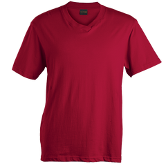 180g Barron V-Neck T-Shirt (TSV180B)-3