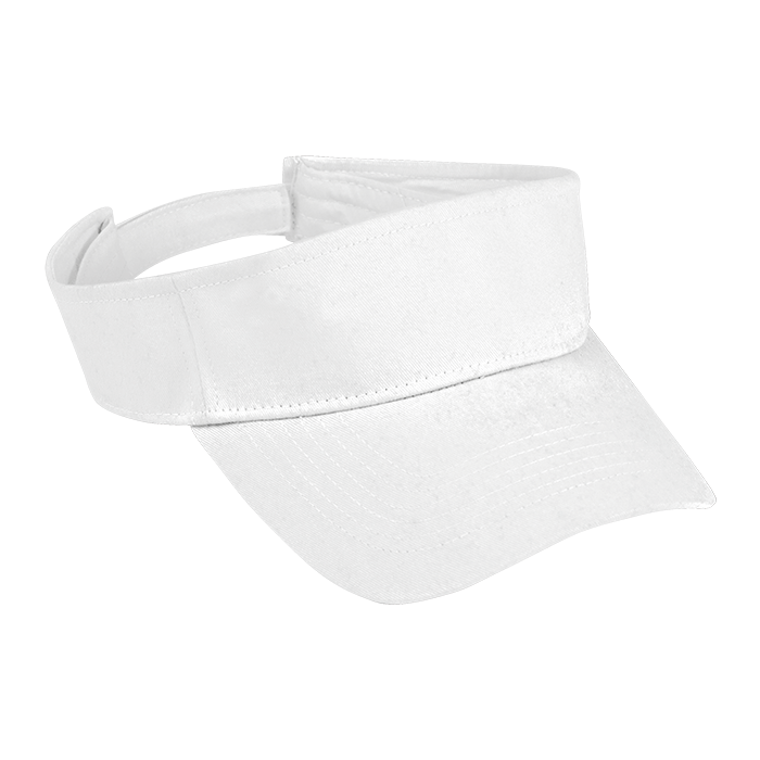 Arena Visor-6