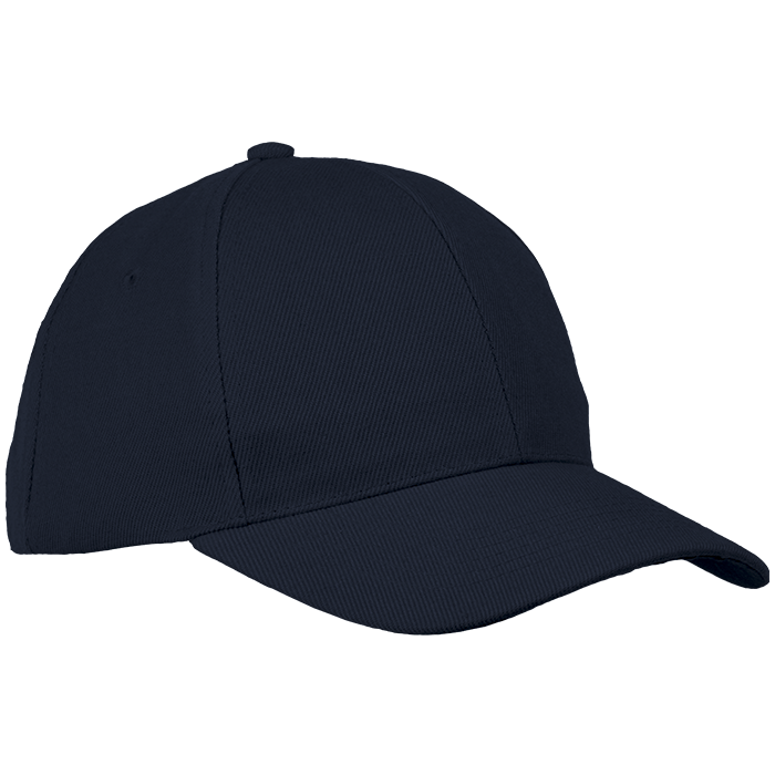 6 Panel Raven Cap-2