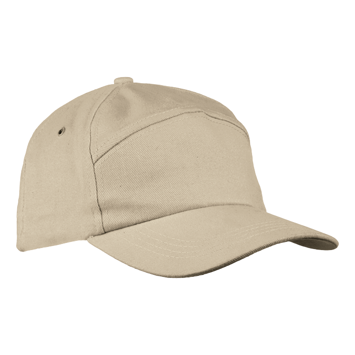 6 Panel Carbon Cap-2