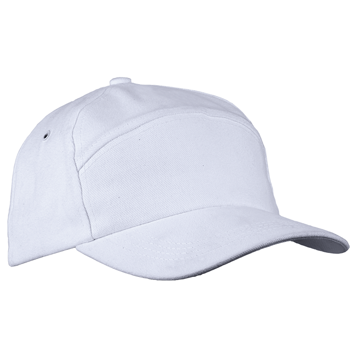 6 Panel Carbon Cap-4