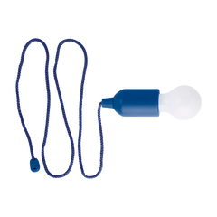 Light Bulb Shaped LED Light-1