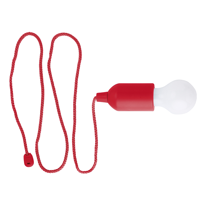 Light Bulb Shaped LED Light-2