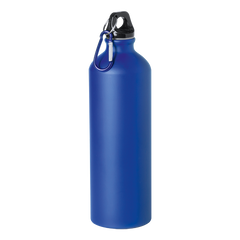 800ml Delby Water Bottle-1