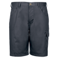Rogue Shorts
