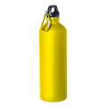 800ml Delby Water Bottle