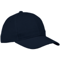 6 Panel Raven Cap