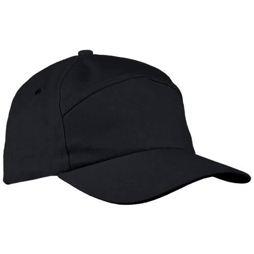6 Panel Carbon Cap