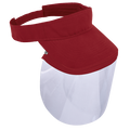 VIZIP Wing Visor