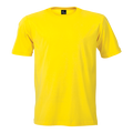 Promo Tee 145g